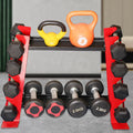 NNEOBA 4 Tier Dumbbell Rack for Home Gym